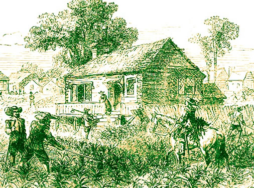 Cultivating Tobacco in the New World